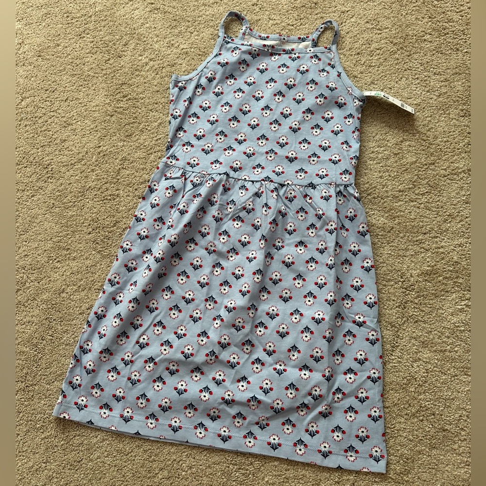 Carter's Blue, Red, and White Floral Kids Dress
